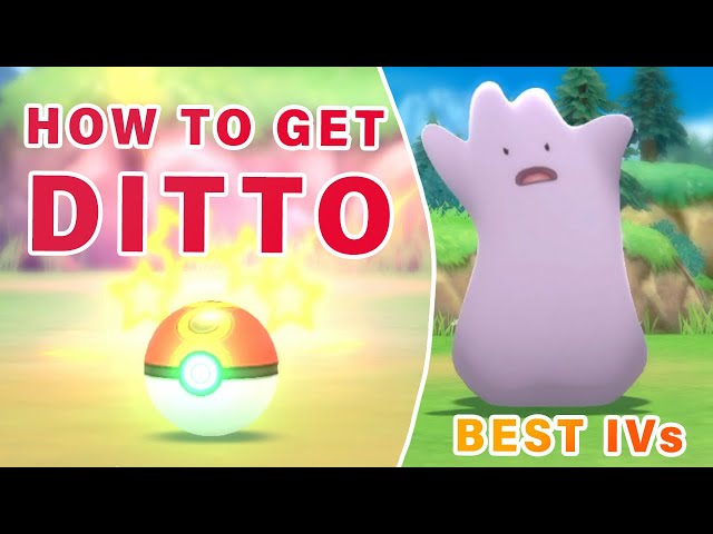 How to get Ditto in Pokemon Brilliant Diamond and Shining Pearl 
