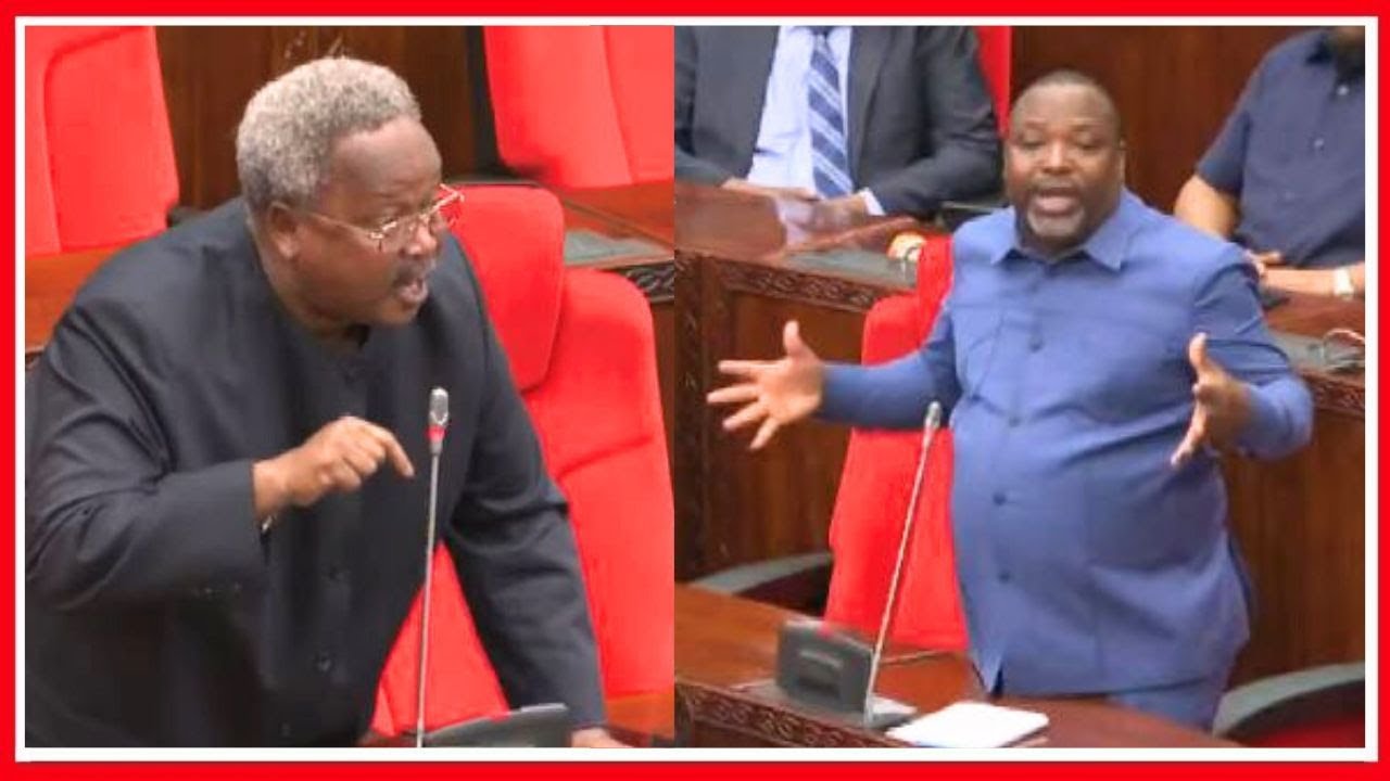 LUSINDE na OLE SENDEKA WAPISHANA BUNGENI MADUDU RIPOTI ya CAG - ''TUSIJIDANGANYE, SIPOKEI TAARIFA''