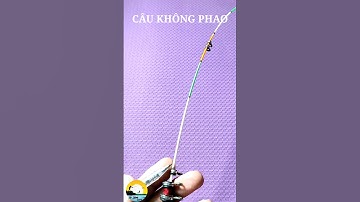 Cần câu cá không phao | Fishing rod without float #Shorts