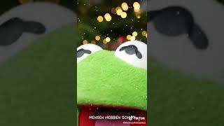 Kermit Mondkapje