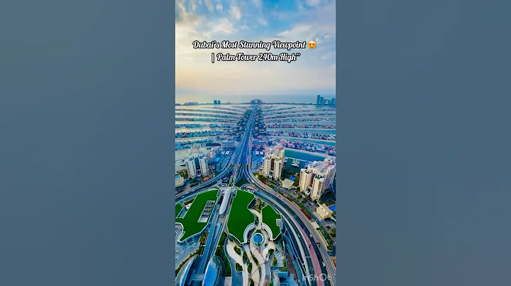 Dubai Like a Bird’s Eye 🦅 | Palm Jumeirah 360°😍🤯#dubai #palmjumeirah #view #travel #shorts