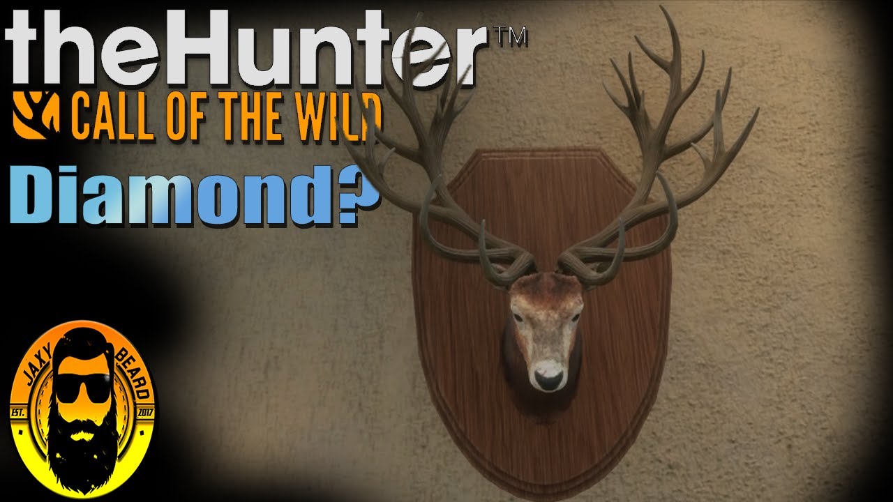 The Search for Big Red! Diamond Red Deer Hunt in the Hunter Call of the
