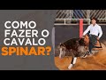 Como fazer o cavalo Spinar?