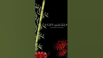 #تلاوة_هادئة #اكسبلور #تلاوة_خاشعة #عبدالرحمن_مسعد #قرآن #قران_كريم #راحة_نفسية #راحة #تلاوات