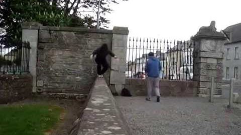 Local Yokels (Onin & Inari)