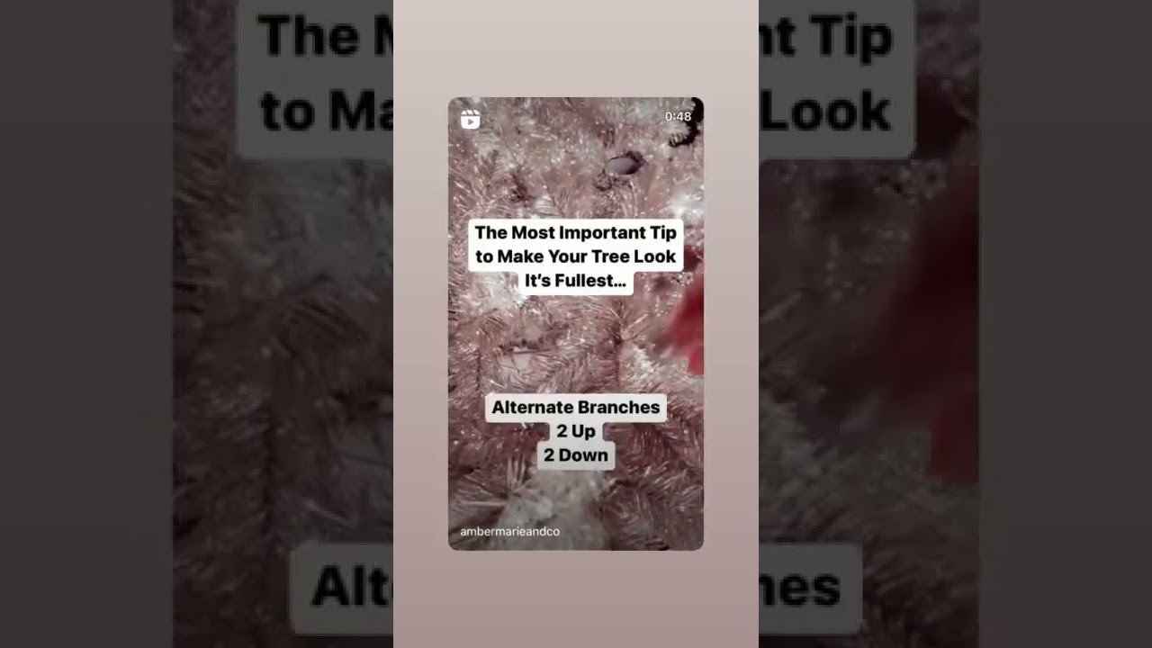 Learn how to fluff your Christmas tree for the fullest effect!