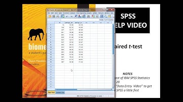 Paired t-test in SPSS