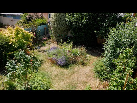 Jardin primé au concours Jardiner Autrement 2023, catégorie petit jardin