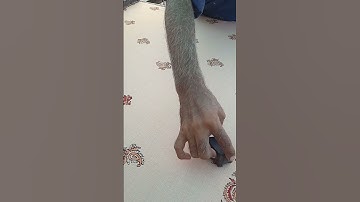 Kurta Block Printing Hand Block Printing with Wooden Blocks