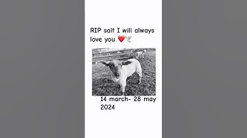Thumbnail of RIP salt I will always love you and forever miss you ♾️❤️🕊️ #lyrics #love #song #sad #music