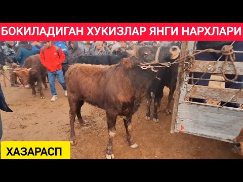 ХОРАЗМ ХАЗАРАСП МОЛ БОЗОРИ ЁШ БОКИЛАДИГАН ХУКИЗЛАР ЯНГИ НАРХЛАРИ 5-ЯНВАР 2025 Г !!! ХОРАЗМ ОБЗОР