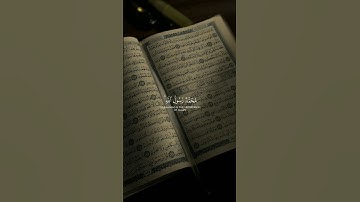 محمدٌ رسولُ الله |  #سورة_الفتح #ياسر_الدوسري #قرآن #Quran #تلاوة