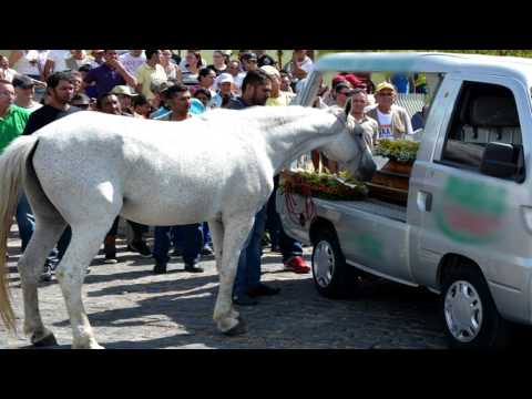 Cavalo Chora a Morte do Vaqueiro - Diassis Martins