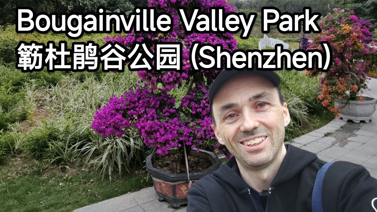Shenzhen Bougainville Valley Park 簕杜鹃谷公园 (4K) YouTube
