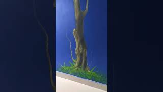 wall painting on blue wall