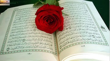 تلاوة هادئة تريح القلب سورة يس