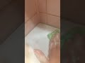 Средство Чистящее ФАБЕРЛИК для ванной комнаты