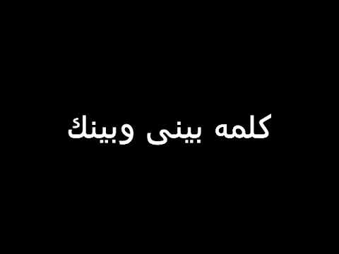 أفجر حالة واتس اب على مهرجان يا ام شعر حرير مع رابط التحميل