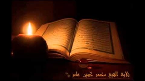 سورة النصر - الشيخ محمد حسين عامر