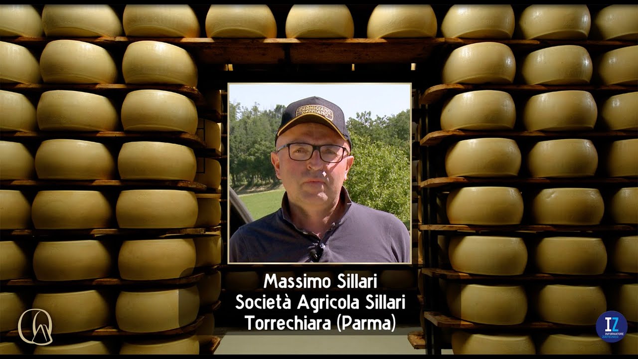 Allevamento Sillari: stabulazione fissa ma elevato punteggio di benessere animale