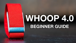 WHOOP 4.0: Ultimate Beginner's Guide