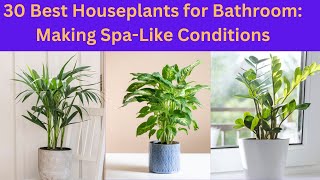 30 Best Houseplants for Bathroom: Making Spa Like Conditions || #indoorplants #houseplants