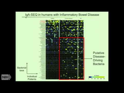 Video: Metabolom Mikrobioma Usus Manusia Adalah Prediksi Dysbiosis Inang