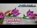 Puntilla 302 Tulipanes