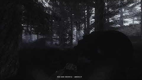 Why I love S.T.A.L.K.E.R. #74 - Peaceful Red Forrest