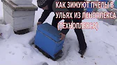 Белорусское Пчеловодство Belarusian Beekeeping