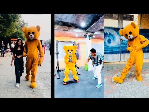 The TikTok teddy Algorithm is INSANE