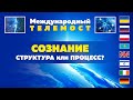 Международный телемост. Сознание. Структура или процесс? #НАУЭРА