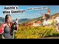 Visiting a 12th century winery in austrias wachau valley danube river cruise