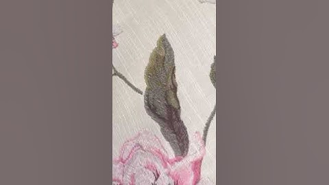 WhatsApp Video 2024 07 23 at 19 29 10