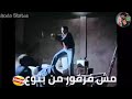 مش حرامه تيرفني دانا هيرو والكل عرفني 