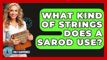 What Kind Of Strings Does A Sarod Use? - Holy Harmonies