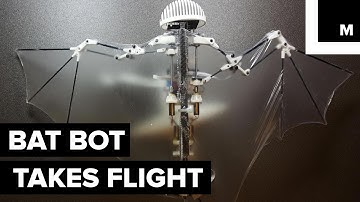 Flying bat bot