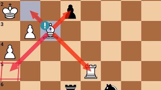 Draw Game More then 100 Moves Magnus Carlsen Vs Anish Giri 2017 in 79th tata Steel Group A Analysis✅
