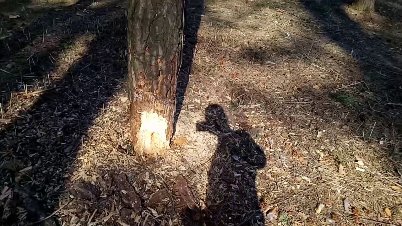 Пока гром не грянет, мужик не перекрестится - YouTube