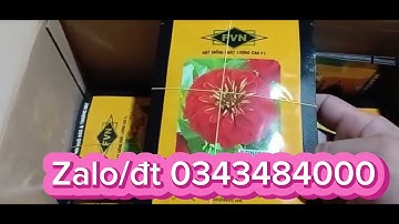 Cúc lá nhám kép FVN.mua hàng nt e qua Zalo/đt 0343484000
