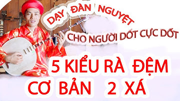DẠY ĐÀN NGUYỆT RA NỐT ĐÀN XUYÊN TÂM 2 CHO NGƯỜI DỐT CỰC DỐT