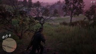 Red Dead Redemption 2 Hanging Torso Body Site Inspection 1 Near Valentine 111718 Red Dead Redemption 2 Hanging Torso Body Site Inspection 1 Near Valentine 111718