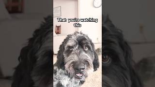 You Will Have Amazing Day If You See This