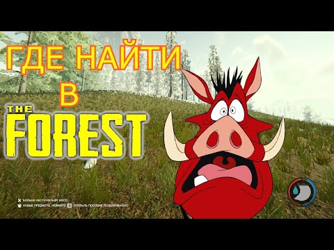 ГДЕ НАЙТИ В THE FOREST | КАБАН