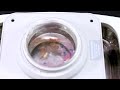 Codyson Ultrasonic Cleaner CD-4821 (2.5 Litres) - 2