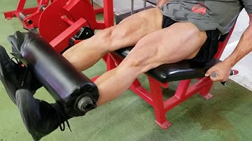 PPAZ Leg Extensions Partials With Holds