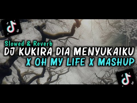 DJ KUKIRA DIA MENYUKAIKU X OH MY LIFE X MASHUP [SLOWED + REVERB]