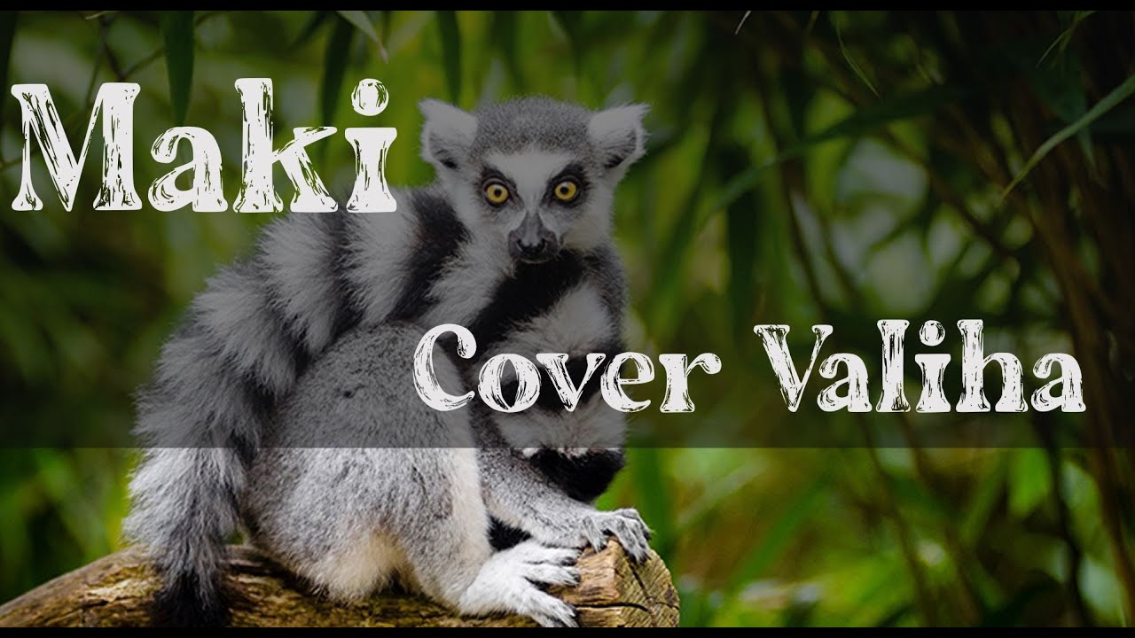 Maki - Rossy  -  Cover Valiha by Rado Fentsu