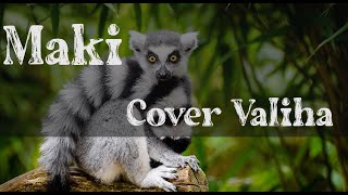 Video thumbnail of "Maki - Rossy  -  Cover Valiha by Rado Fentsu"