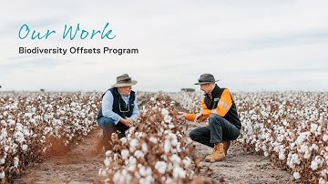 Our Work: Biodiversity Offsets Program